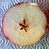 manzana.jpg